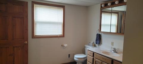 7825 Mcbride Rd, Edmore, MI 48829 photo 18
