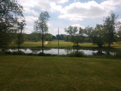 7825 Mcbride Rd, Edmore, MI 48829 photo 20