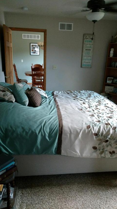 7825 Mcbride Rd, Edmore, MI 48829 photo 8