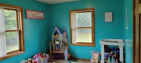 7825 Mcbride Rd, Edmore, MI 48829 photo 16