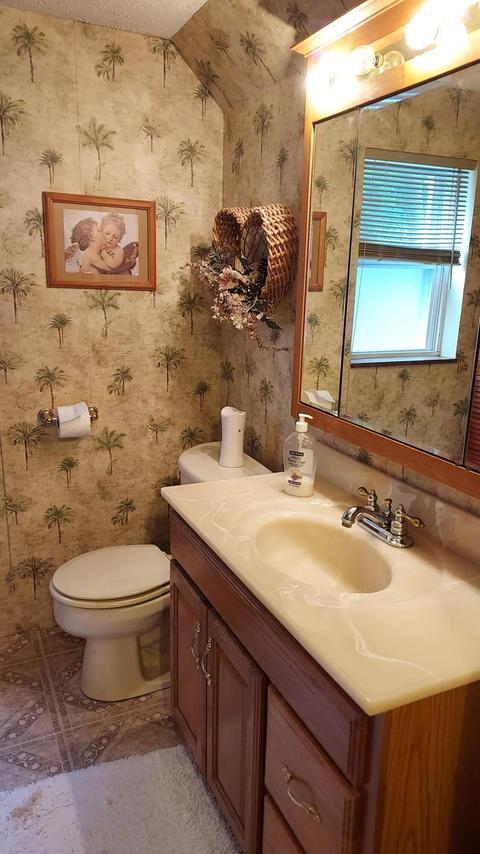 720 N Broad St, Adrian, MI 49221 photo 33