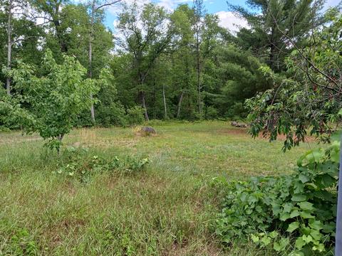 2883 W Springtime St, Baldwin, MI 49304 photo 7