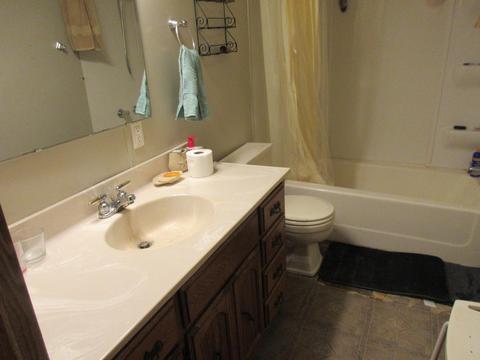 1032 54th St, Pullman, MI 49450 photo 13