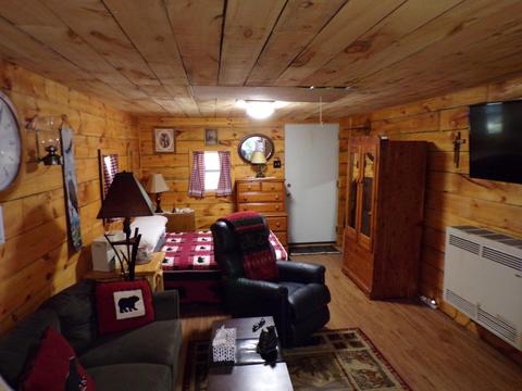 20580 Pole Rd, Brethren, MI 49619 photo 2