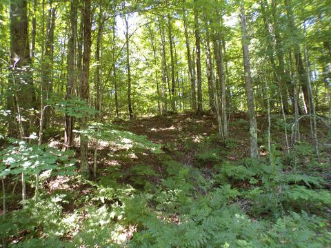 20580 Pole Rd, Brethren, MI 49619 photo 16