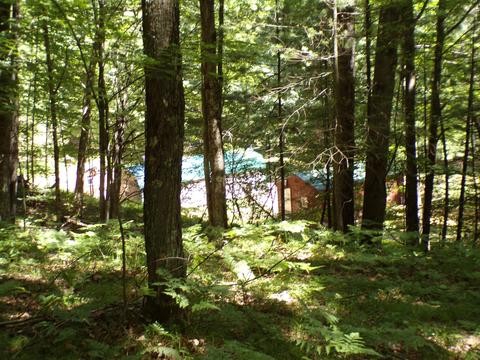 20580 Pole Rd, Brethren, MI 49619 photo 19