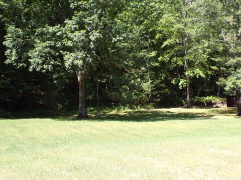 20580 Pole Rd, Brethren, MI 49619 photo 14