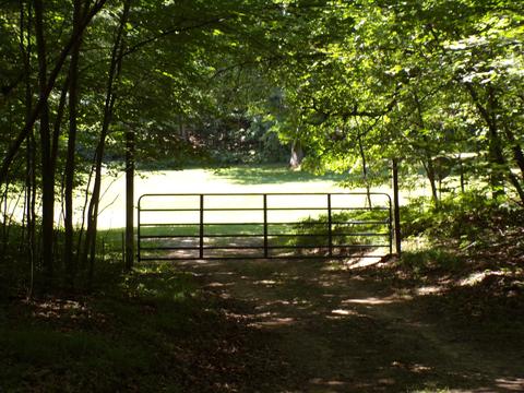 20580 Pole Rd, Brethren, MI 49619 photo 25