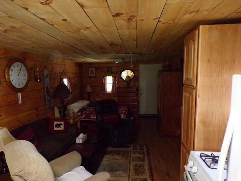 20580 Pole Rd, Brethren, MI 49619 photo 3