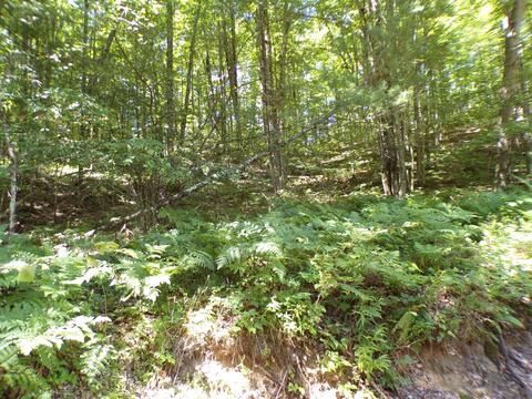 20580 Pole Rd, Brethren, MI 49619 photo 23