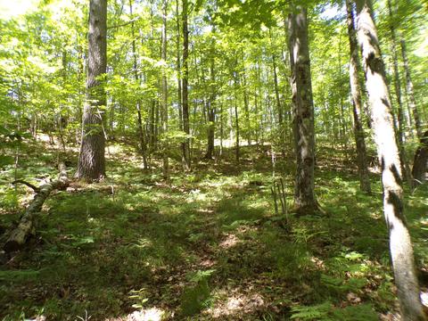 20580 Pole Rd, Brethren, MI 49619 photo 17