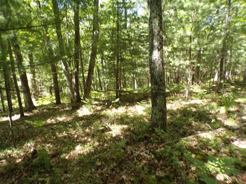 20580 Pole Rd, Brethren, MI 49619 photo 21
