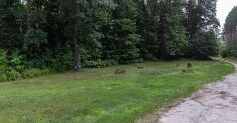 3434 E Wilson Rd, Custer, MI 49405 photo 45
