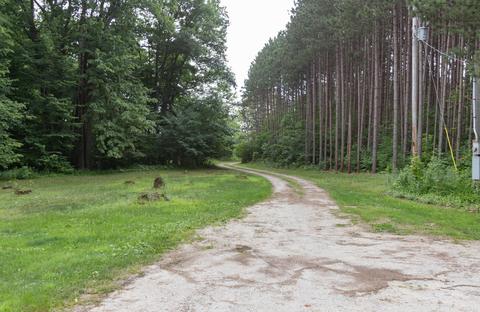 3434 E Wilson Rd, Custer, MI 49405 photo 44