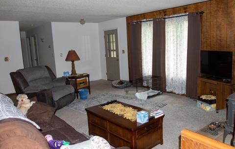 3434 E Wilson Rd, Custer, MI 49405 photo 14