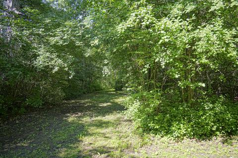 6060 Lansing Ave, Jackson, MI 49201 photo 49