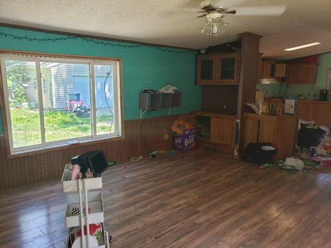 4150 E Shore Dr, Stanton, MI 48888 photo 18
