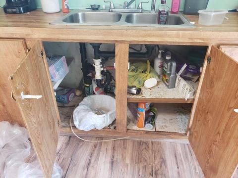 4150 E Shore Dr, Stanton, MI 48888 photo 23