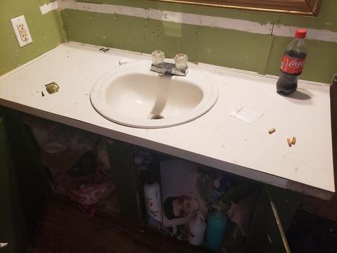 4150 E Shore Dr, Stanton, MI 48888 photo 41