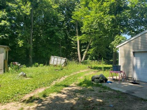 4150 E Shore Dr, Stanton, MI 48888 photo 9