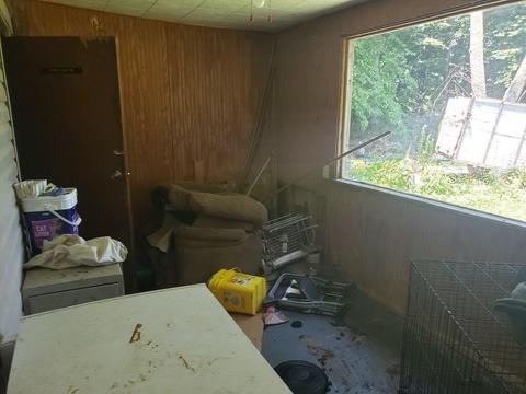4150 E Shore Dr, Stanton, MI 48888 photo 27