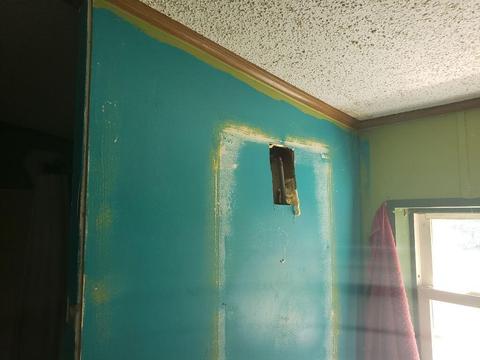 4150 E Shore Dr, Stanton, MI 48888 photo 28