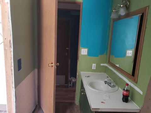 4150 E Shore Dr, Stanton, MI 48888 photo 39