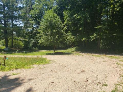 4150 E Shore Dr, Stanton, MI 48888 photo 49