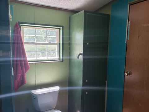4150 E Shore Dr, Stanton, MI 48888 photo 29