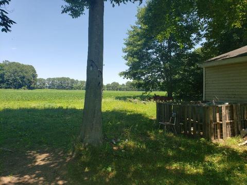 4150 E Shore Dr, Stanton, MI 48888 photo 11
