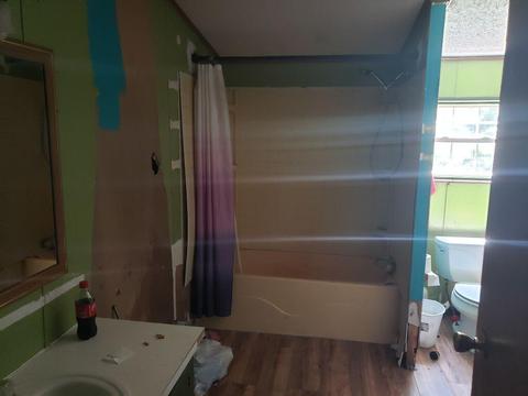 4150 E Shore Dr, Stanton, MI 48888 photo 38