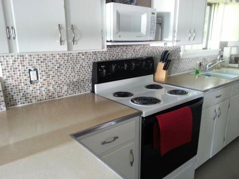 651 Thompson St, Stanton, MI 48888 photo 5