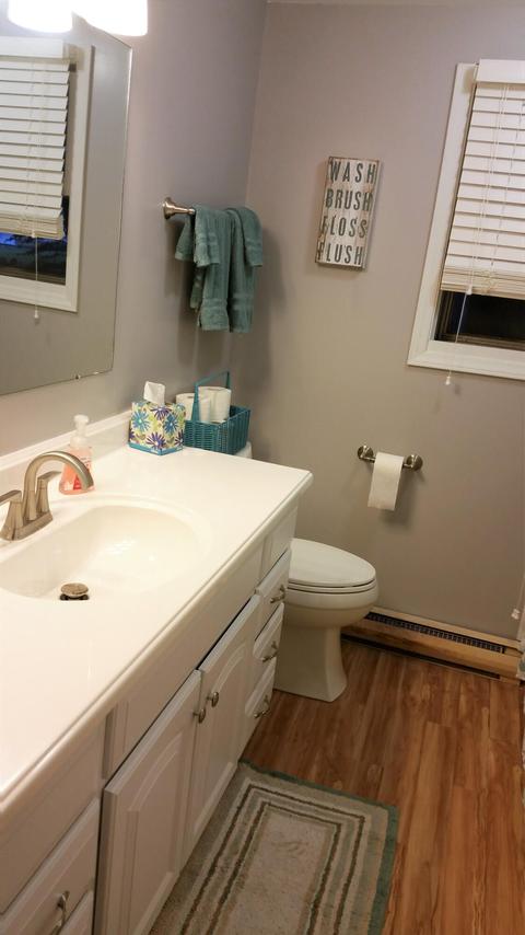 651 Thompson St, Stanton, MI 48888 photo 10