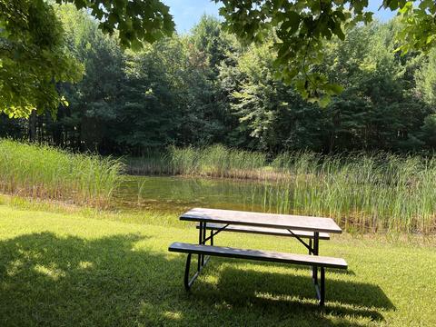 15775 148th Ave, Spring Lake, MI 49456 photo 85