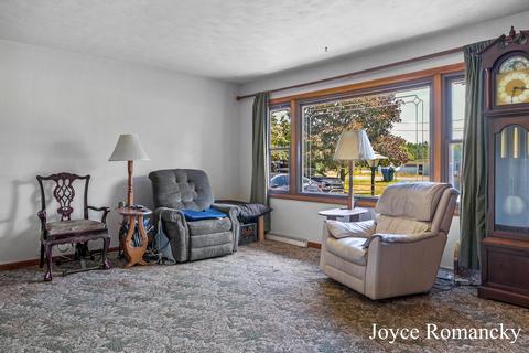 9966 Belding Rd, Belding, MI 48809 photo 5
