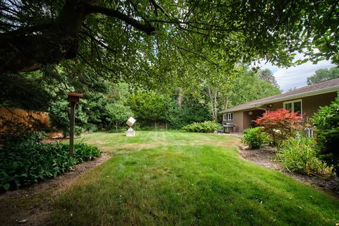 212 Pinecrest Rd, Whitehall, MI 49461 photo 57
