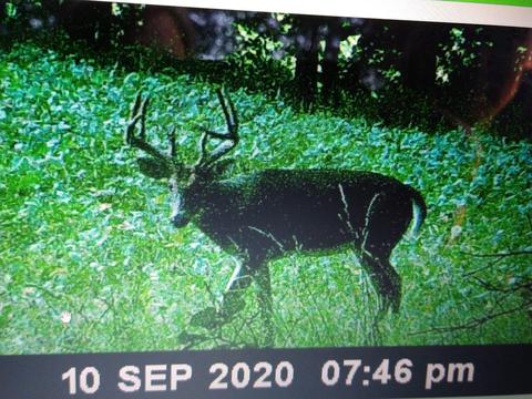 5125 Stepladder Rd, Parma, MI 49269 photo 44