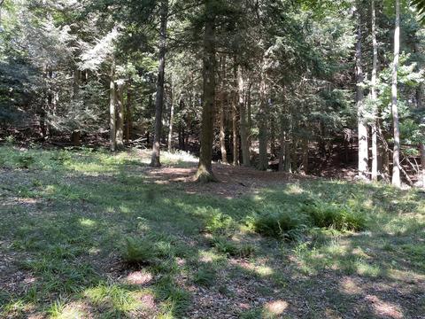1786 S Sable Pointe Dr, Shelby, MI 49455