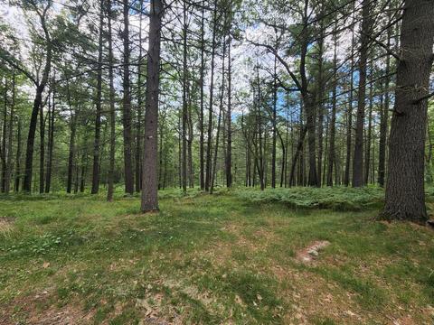 7899 E 32nd St, Chase, MI 49623 photo 5