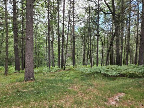 7899 E 32nd St, Chase, MI 49623 photo 6