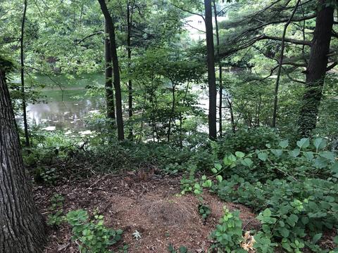 119 Pinecrest Rd, Whitehall, MI 49461 photo 19