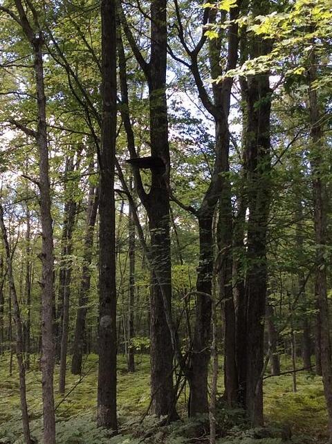 3030 N Warner Ave, White Cloud, MI 49349 photo 31