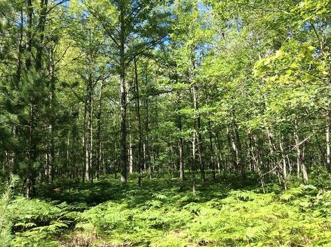 3030 N Warner Ave, White Cloud, MI 49349 photo 28
