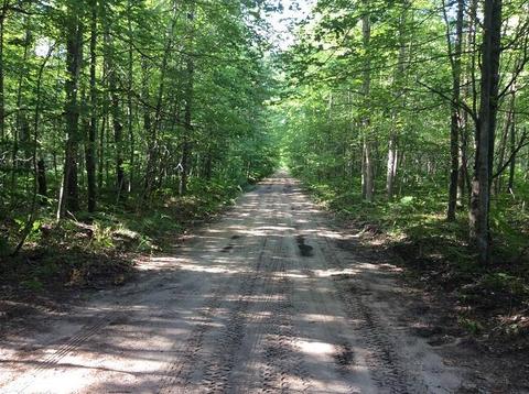 3030 N Warner Ave, White Cloud, MI 49349 photo 29