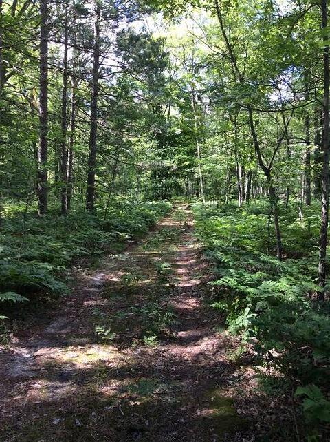 3030 N Warner Ave, White Cloud, MI 49349 photo 24