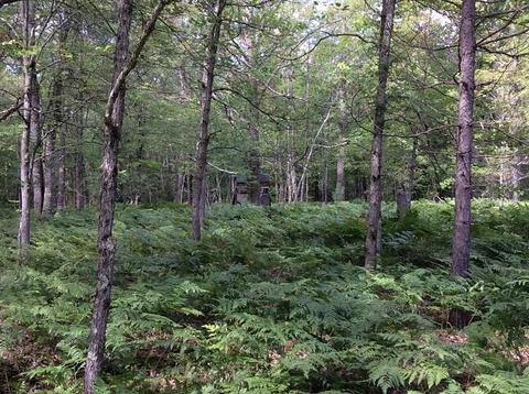 3030 N Warner Ave, White Cloud, MI 49349 photo 30