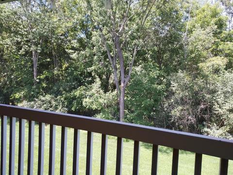916 Oakbrook Dr, Jackson, MI 49203 photo 13