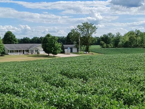 4301 Reading Rd E, Osseo, MI 49266 photo 37