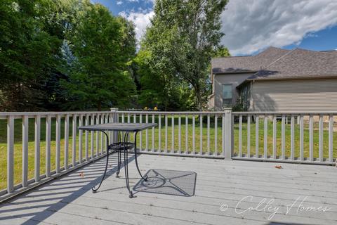 11902 Sara Ann Dr, Dewitt, MI 48820 photo 16