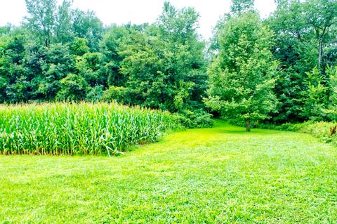 3245 Pickett Rd, Parma, MI 49269 photo 9